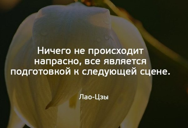 Все напрасно. Ничего не происходит напрасно. Ничего не происходит напрасно всё является подготовкой. Ничего не случается случайно. Подготовка к следующей сцене.