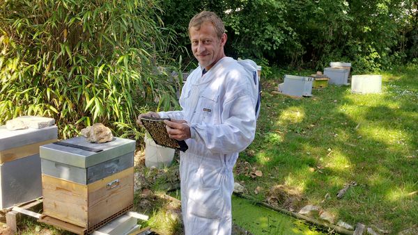 Nicolae trainerbees the man who claims to make cannabis honey