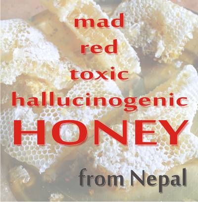 have you tried mad honey from nepal?