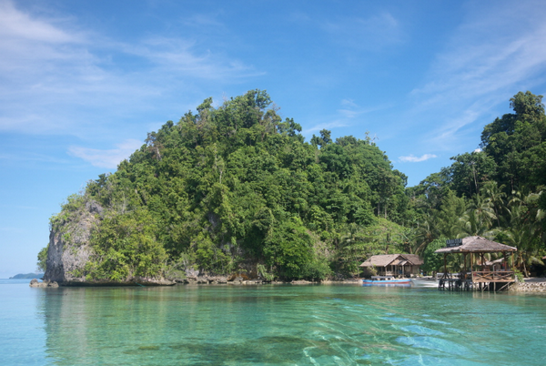 Большие Зондские острова Сулавеси