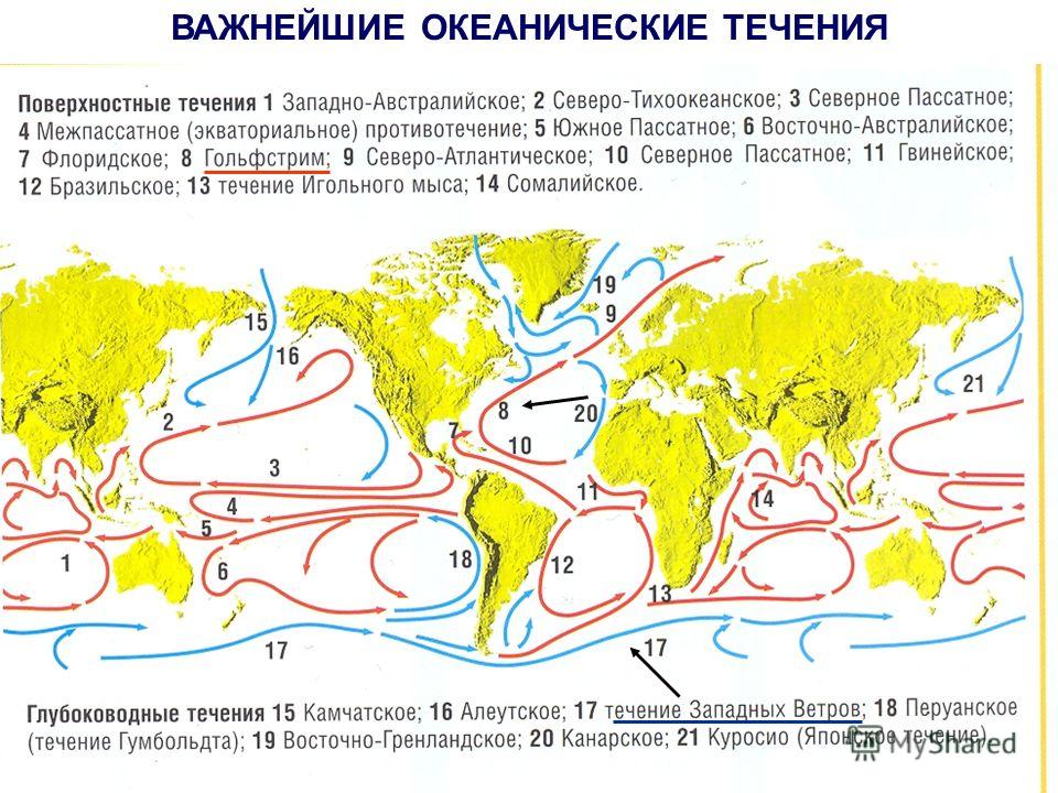 Карта со всеми течениями