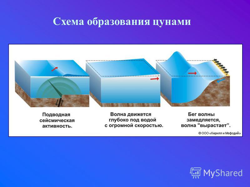 Цунами причины возникновения и физика процессов проект