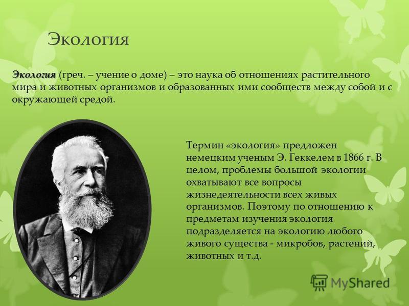 Кто ввел термин экология. Термин экология человека. Термин экология был предложен. Экология ученый термин. Термин экология ввел.