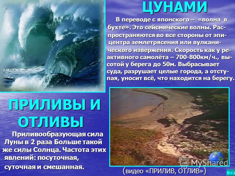 В каком океане зарождается цунами. ЦУНАМИ отлив. Сообщение о природном явлении ЦУНАМИ. Сообщение о ЦУНАМИ.