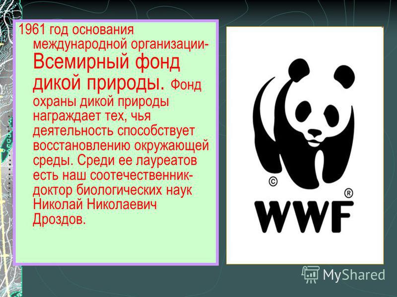 Что такое wwf 4 класс