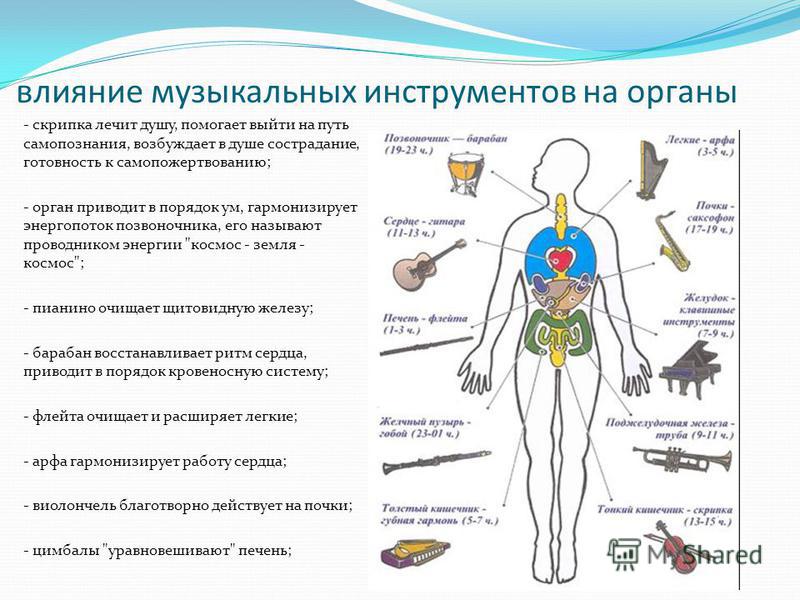 Влияние музыкальных инструментов на человека. Влияние музыкальных инструментов на внутренние органы. Влияние музыкальных инструментов на организм человека картинка. Влияние музыки на органы.