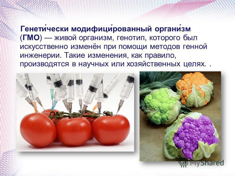 Презентация на тему генномодифицированные продукты