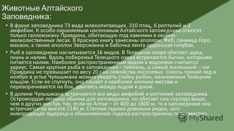 Сообщение алтайский. Алтайский заповедник доклад. Алтайский заповедник доклад 3 класс. Заповедники Алтая доклад. Сообщение о Алтайском заповеднике России.