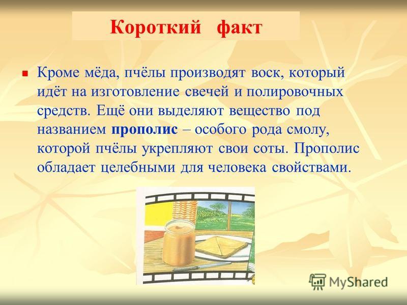 Какой продукт нельзя получить от пчел. Что производят пчелы кроме меда. Что выделяют пчелы кроме меда. Короткий факт заголовком. ЦУМ коротко факты.