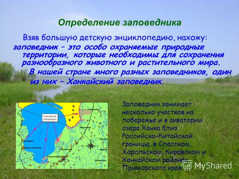 Назовите этот заповедник. Заповедник это определение. Что такое заповедник 3 класс. Заповедник это определение для детей. Что такое заповедник кратко.