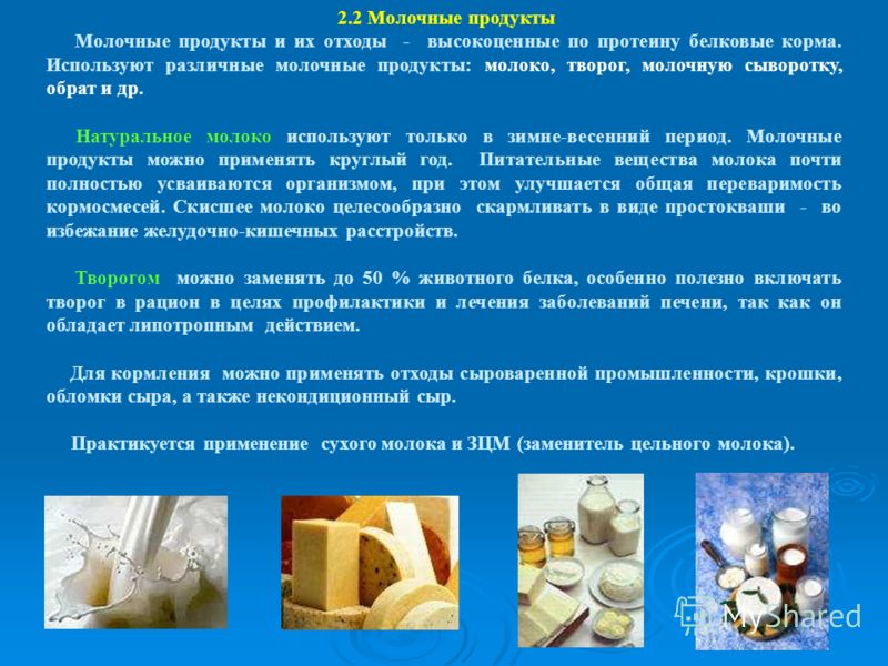 Молочное есть продукт можно. Молочные отходы. Отходы производства молочной продукции. Где применяют молоко. Отходы производства творога.