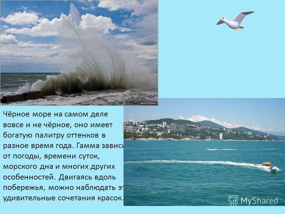 Приходилось ли вам наблюдать. Черное море. Рассказ открасоте моря. Красивое описание моря. Рассказ о коасоте море.