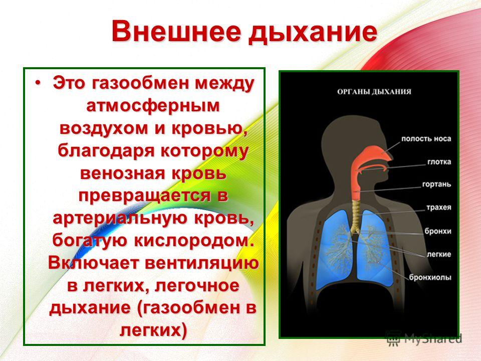 Признаки правильного дыхания