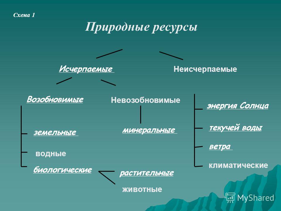 Возобновимые и невозобновимые ресурсы схема