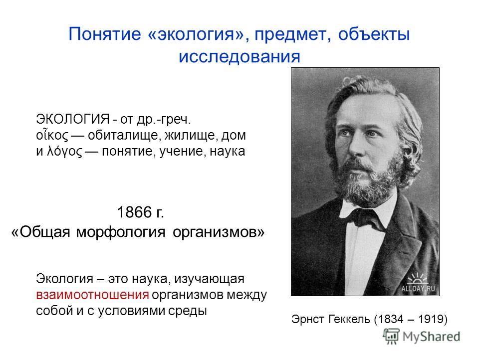 Понятие экология. Термин экология. Концепция , предмет экологии. Понятие экология ввел.