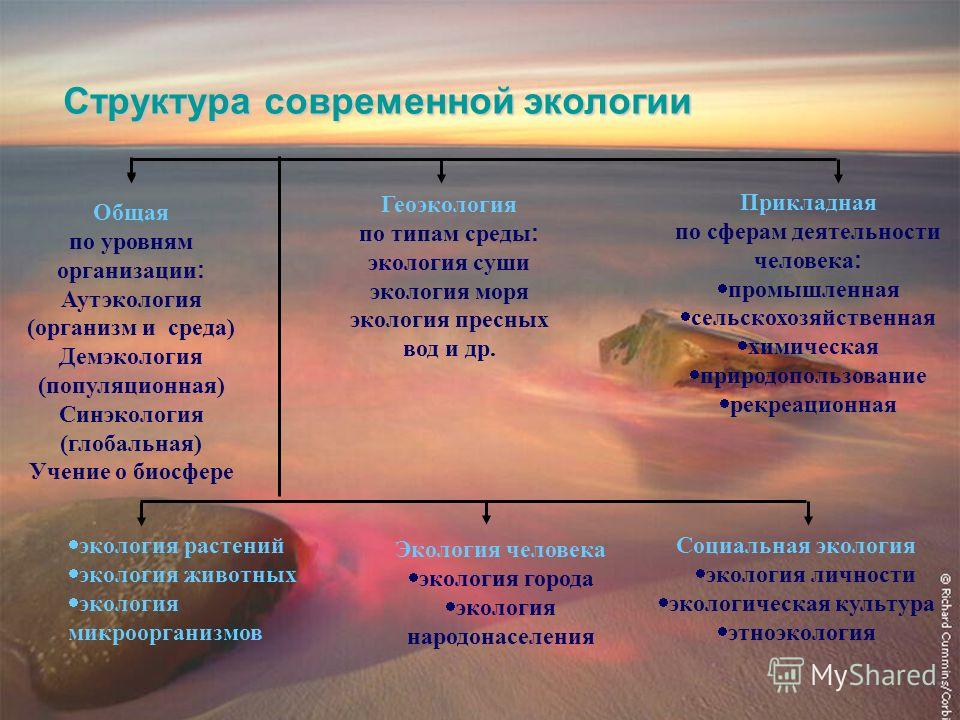 Разделом экологии является. Структура экологии. Структура современной экологии. Структура современной экологии таблица. Основные направления экологии таблица.