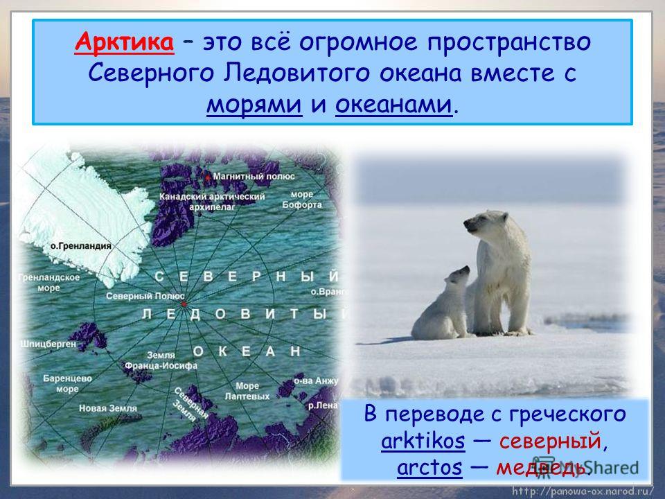 Воды северного ледовитого океана омывают берега нашей родины с севера план текста