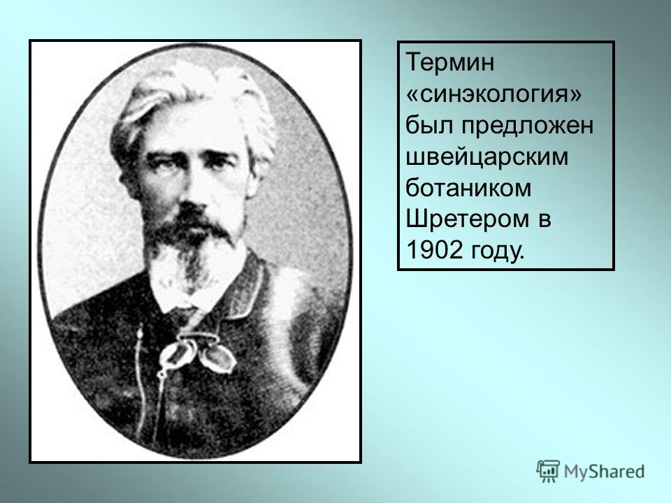 Предложен термин