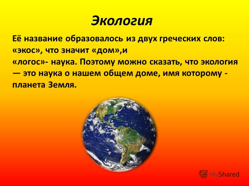 Экология название. Что означает экология. Экология образовалось из двух греческих слов Экос дом и Логос. Экология Экос Логос. Экология наука о доме.