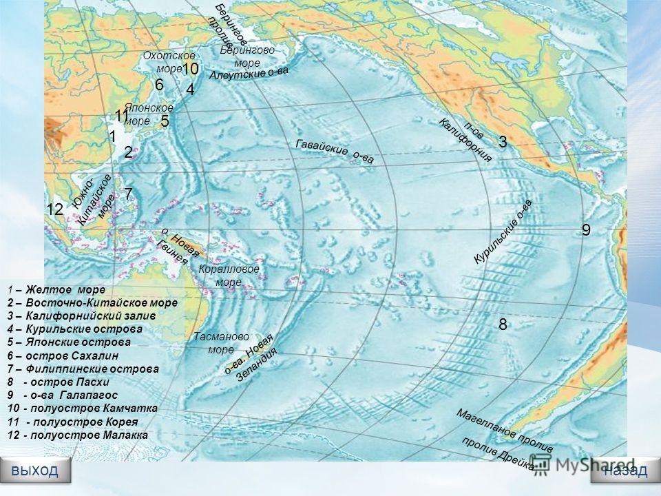 Тихое море на карте. Берингово море в тихом океане. Моря Тихого океана на карте. Моря Тихого океана на контурной карте. Рельеф дна Берингова моря.