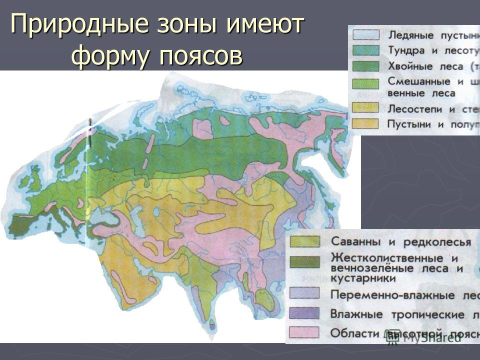 Название природной зоны кратко