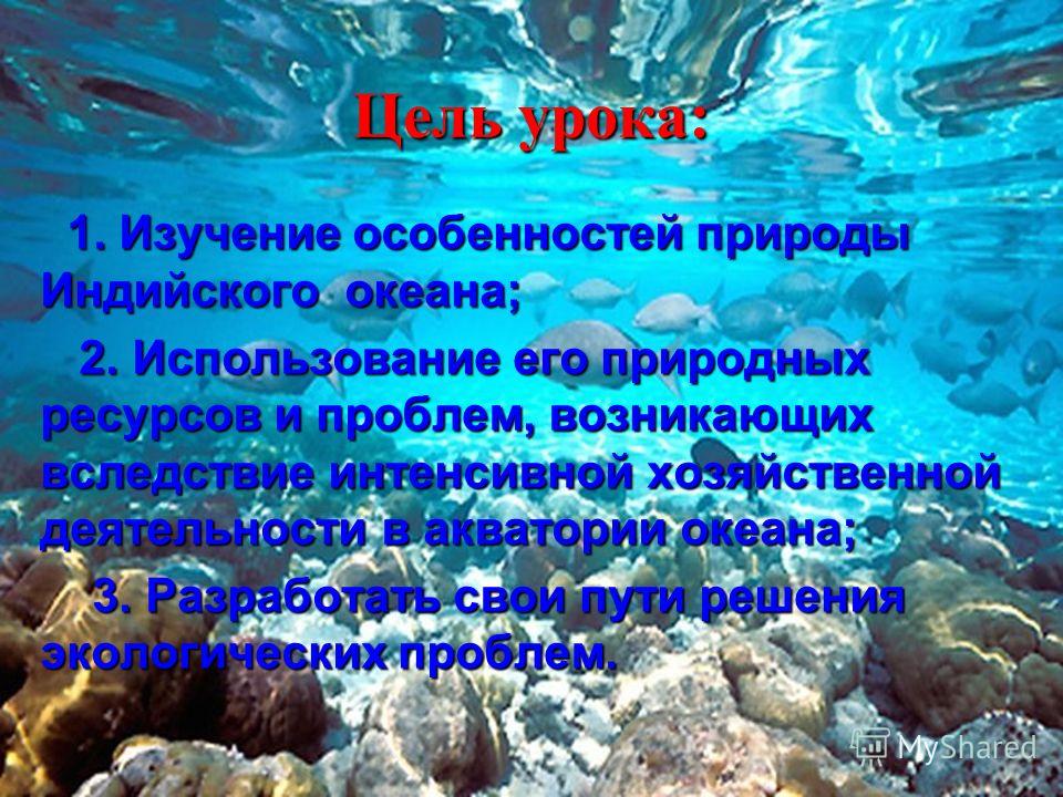 Хозяйственная деятельность индийского океана. Богатства индийского океана. Ресурсы индийского океана. Деятельность человека в индийском океане.