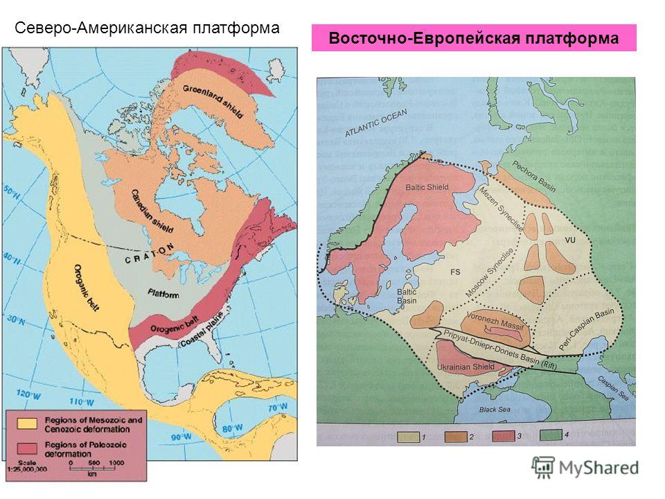 Тектоническая карта северной америки 7 класс