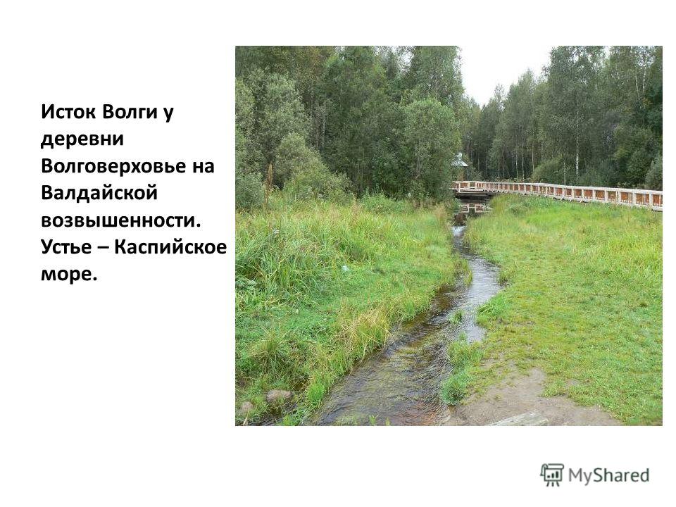 Волга Исток и Устье. Валдайское плоскогорье Исток Волги. Валдайская возвышенность Исток Волги. Исток Волги на карте.