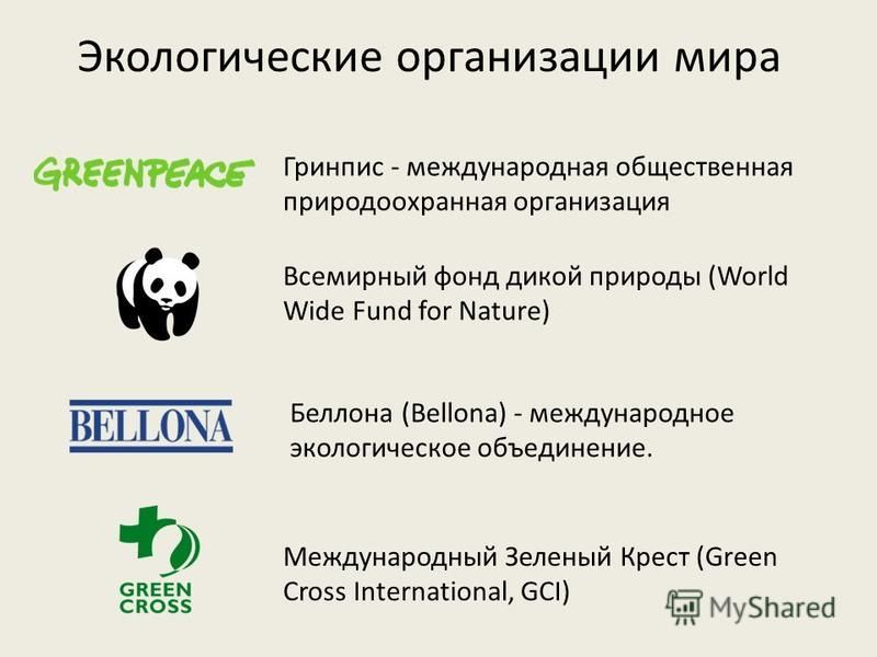 Природоохранные организации россии