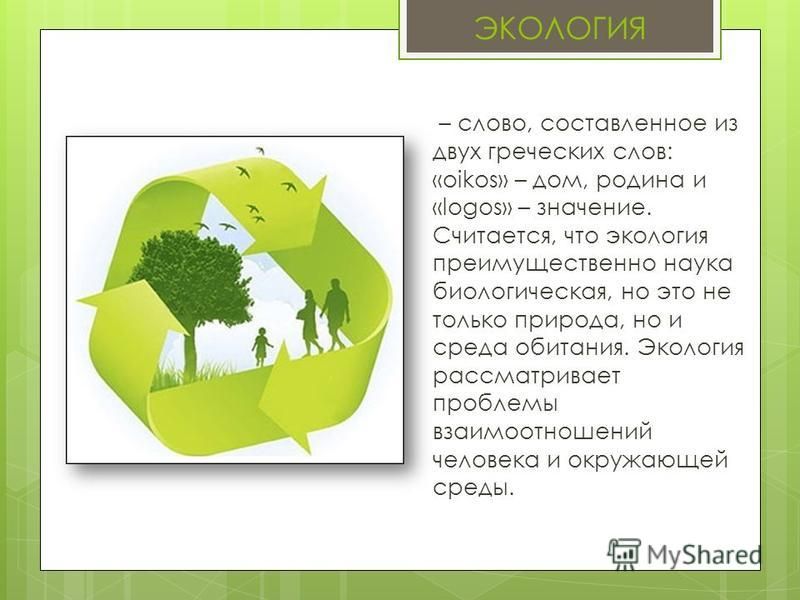 Text ecology. Экология слова. Текст про экологию. Что обозначает слово экология.