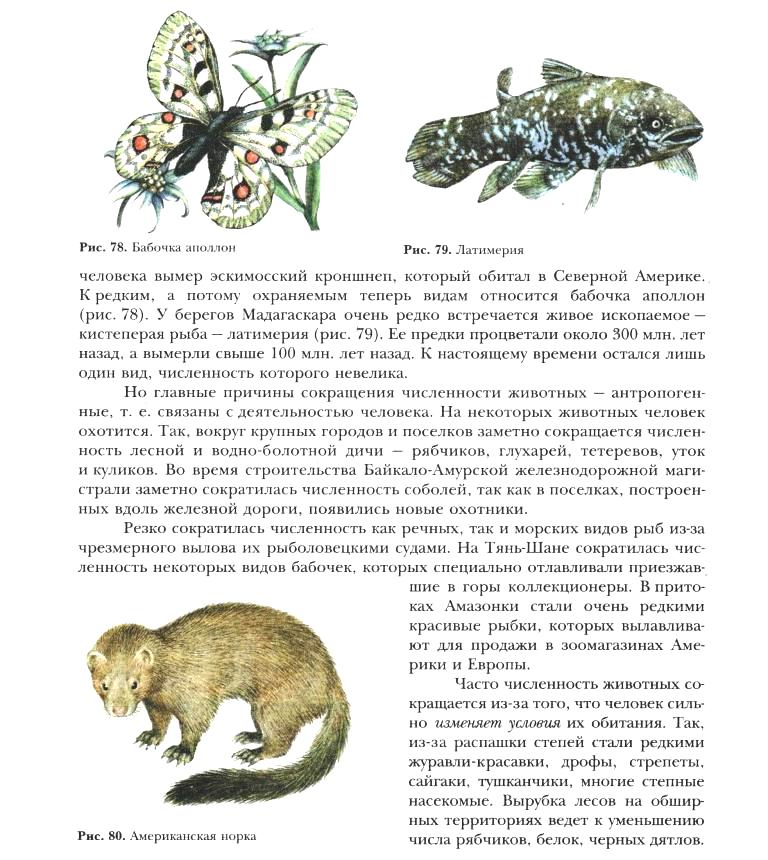 Некоторые животные. Почему некоторые животные вымерли. Почему некоторые животные стали редкими. Почему некоторые животные редкие. Некоторые виды животных стали редкими потому что.