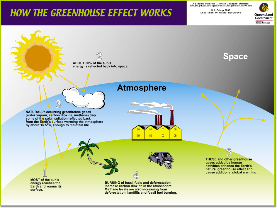 Метан и водяной пар являются парниковыми газами. Деревья парниковый эффект. Greenhouse Gases перевод. Парниковый эффект ядерная энергия. Парниковый эффект стенгазета.