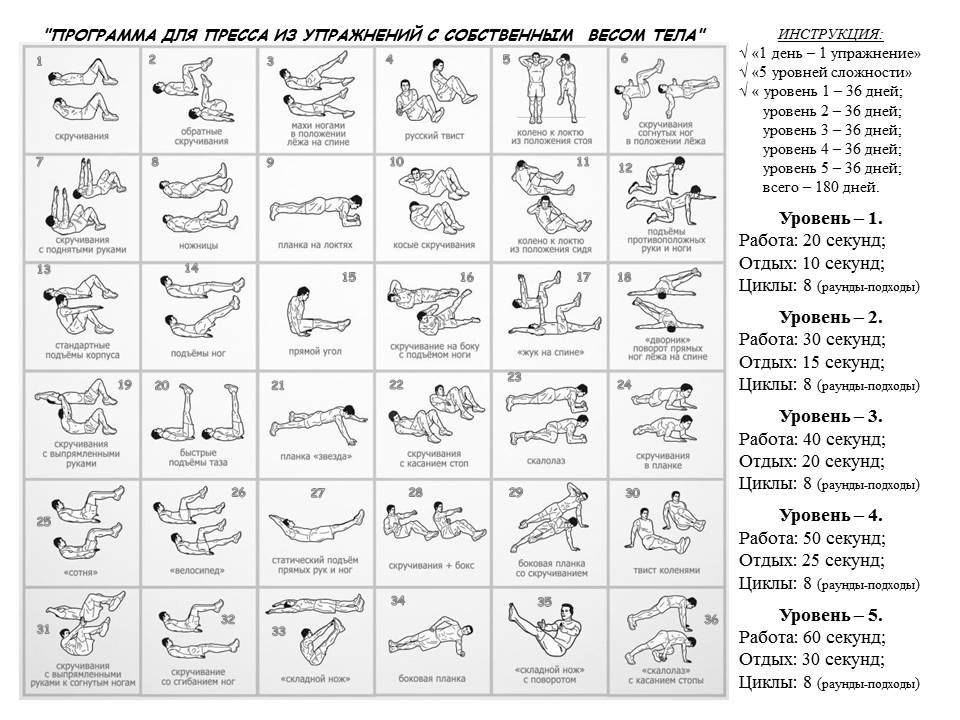 План для тренировок для пресса