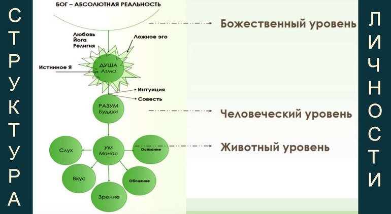 Эго ум. Ум разум ложное эго. Схема ум и разум. Ум разум душа ложное эго. Ложное эго и истинное эго.