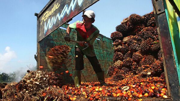 Разгрузка сырья на предприятии по производству пальмового масла
