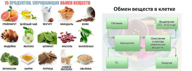 Продукты метаболизма