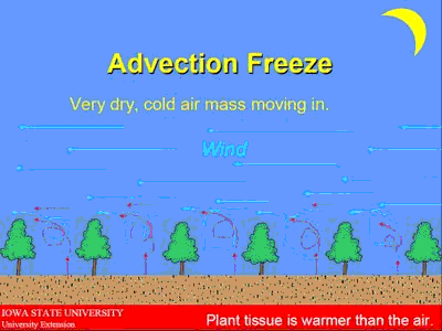 Example of an Advection Freeze