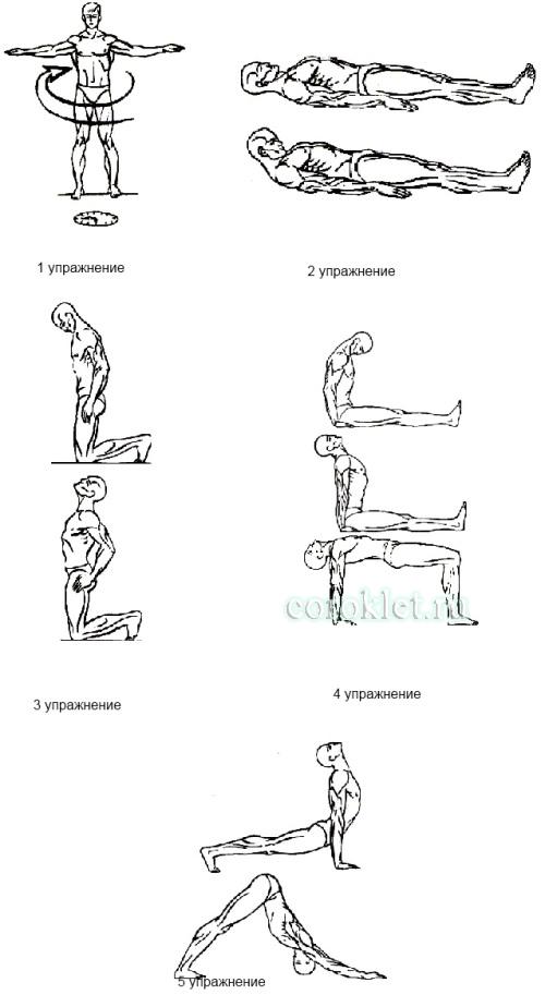 Пять тибетских жемчужин упражнения картинки