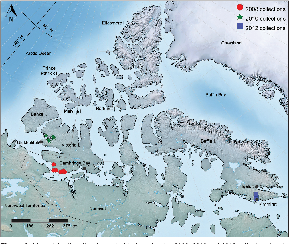 Канадский арктический архипелаг на карте северной. Канадский Арктический архипелаг на карте. Остров канадский Арктический архипелаг на карте Северной Америки. Канадский Арктический архипелаг острова названия.