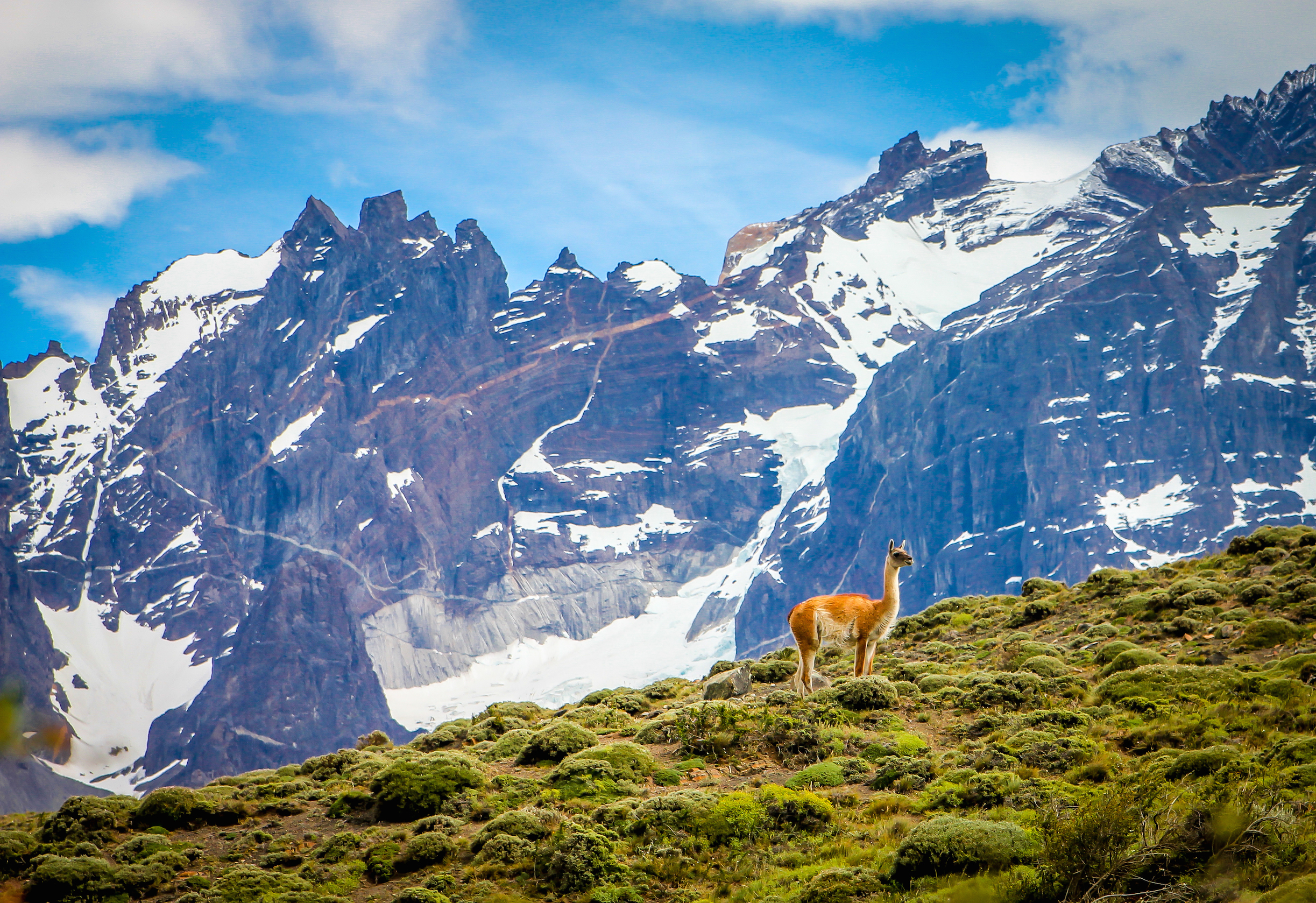 Top 10 National Parks- Torres del Paine National Park