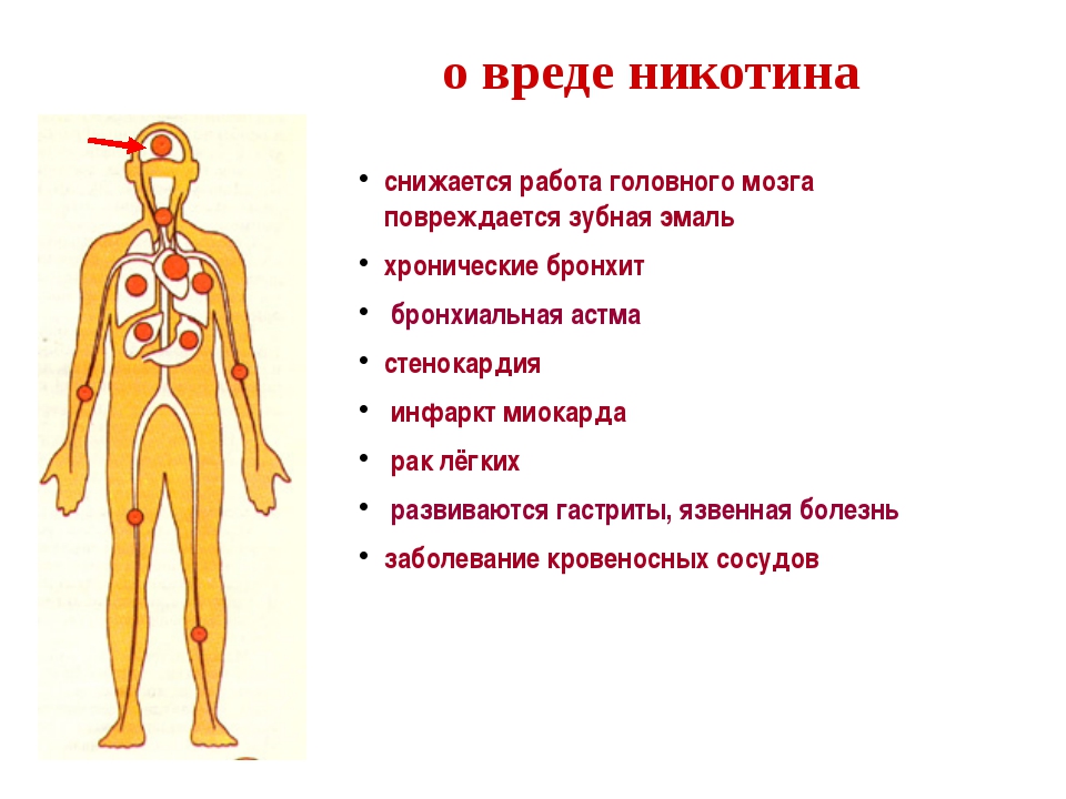 Вред никотина. Сообщение о вреде никотина. Никотин вреден для здоровья. Чем вреден никотин.