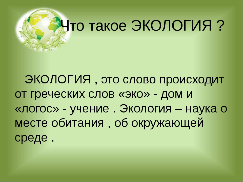 Презентация что такое экология для дошкольников