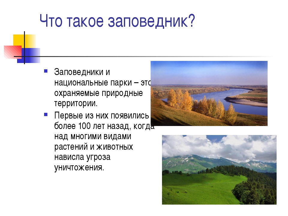 Окружающий мир 4 класс заповедники. Национальные парки России 4 класс окружающий мир. Заповедники и национальные парки России проект. Заповедники и национальные парки России проект для 4 класса. Проект заповедник.