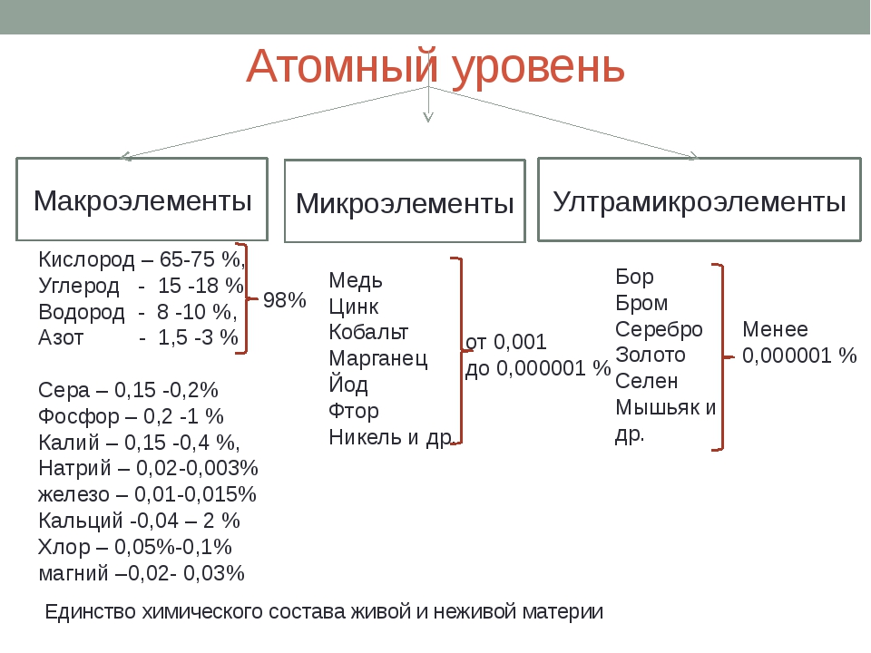 Макроэлементы клетки. Макроэлементы 2) микроэлементы 3) ультрамикроэлементы. Минеральные вещества микроэлементы и макроэлементы. Макроэлементы это в биологии. Химические элементы в клетке макроэлементы микроэлементы.