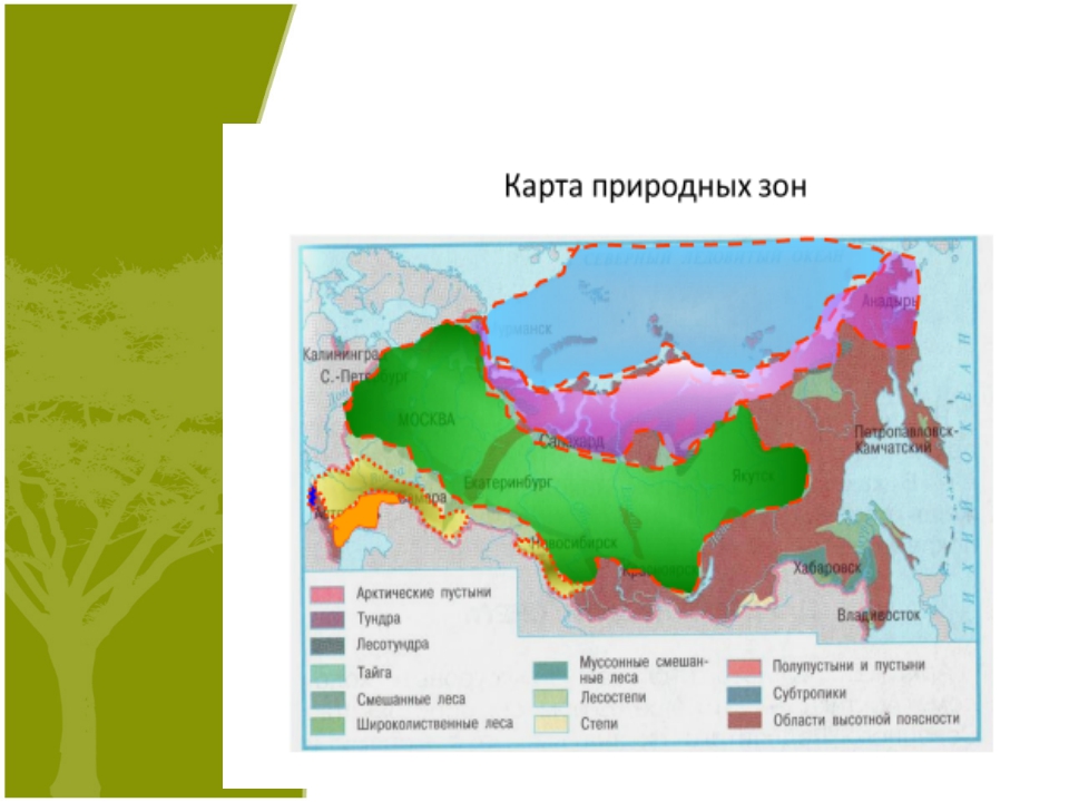 Записать природные зоны. Субтропики России на карте природных зон России. Субтропические леса на карте природных зон России. Карта природных зон зон. Карта карта природных зон.