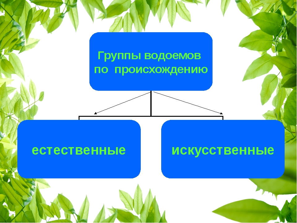 Водоемы естественные и искусственные схема