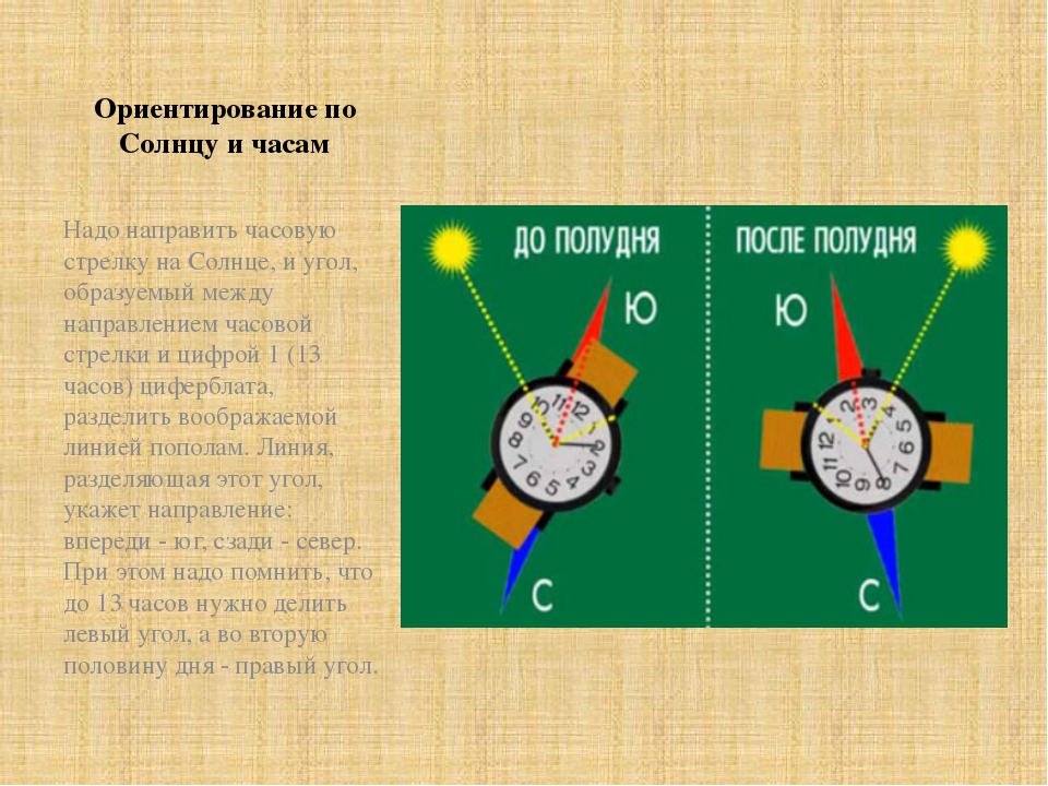 Как определить время в c. Ориентирование по солнцу и часам. Ориентирование на местности с помощью часов. Ориентирование на местности по солнцу и часам. Ориентирование по часам со стрелками.