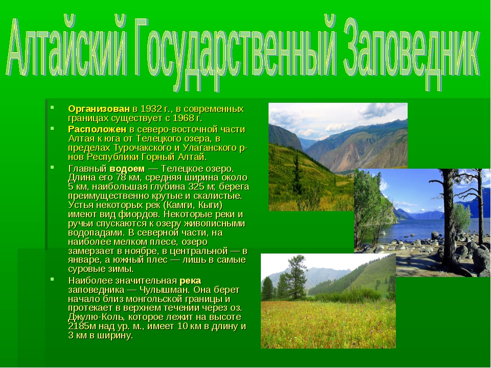 Краткое сообщение про заповедник. Сообщение о заповеднике. Заповедники России доклад. Доклад о заповеднике. CJJ,otybt j pfgjdtlybrf[ b yfwbjyfkmys[ gfhrf[.