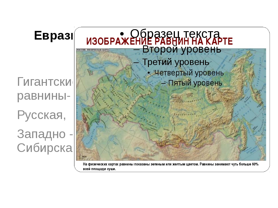 Великая китайская равнина на карте евразии. На карте равнины Восточно европейскую Великую китайскую. Евразия Западно Сибирская равнина. Великая китайская низменность на карте Евразии. Равнины Восточно европейская Великая китайская на физической карте.