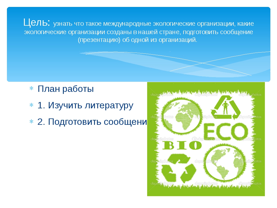 Работа международных проектах. Международных экологических организаций в России план. Экологические организации в России 4 класс. Работе международных экологических организаций в России подготовить. Экологические организации план сообщения.